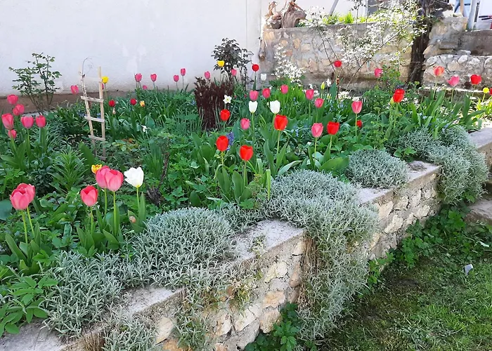 Amy * Сараево